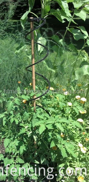 Galvanisé 6 mm Plant de tomates Spiral Support Stakes